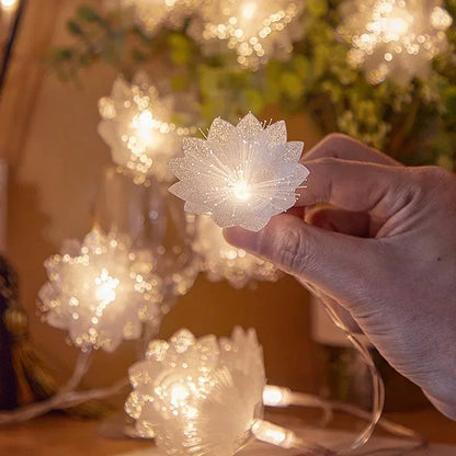 2/3M LED Fiber Optic Fairy Light