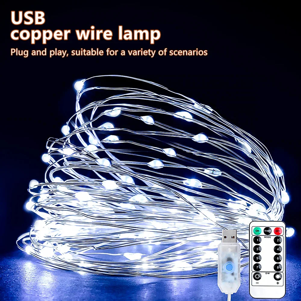 5M/10M/20M USB LED String