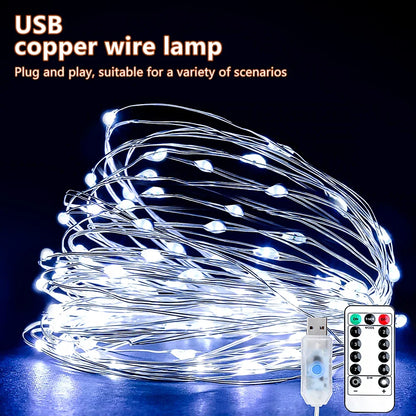 5M/10M/20M USB LED String