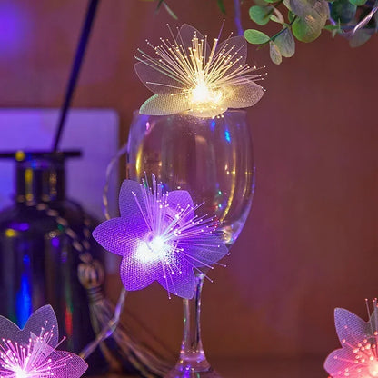 2/3M LED Fiber Optic Fairy Light