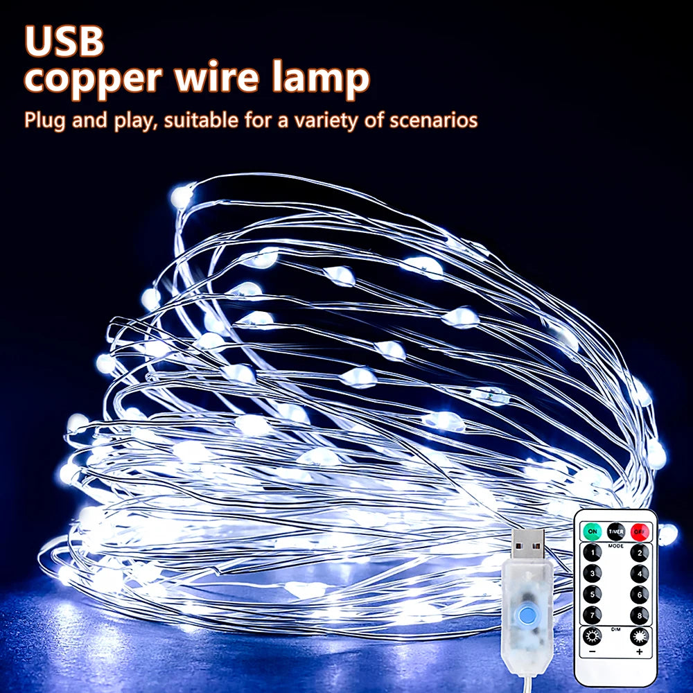 5M/10M/20M USB LED String